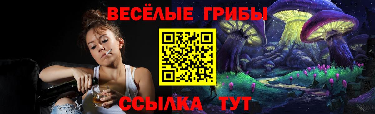 Котлас  Галлюциногенные грибы ЛСД  Вход с VPN 